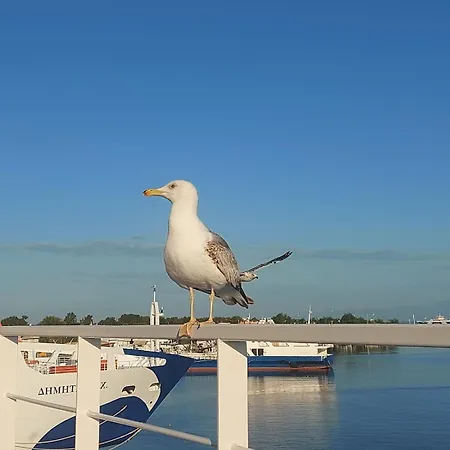 Sol Greco Apartmán Skala Rachoni (Thasos)